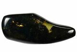 Polished Chiapas Amber ( g) - Mexico #114955-1
